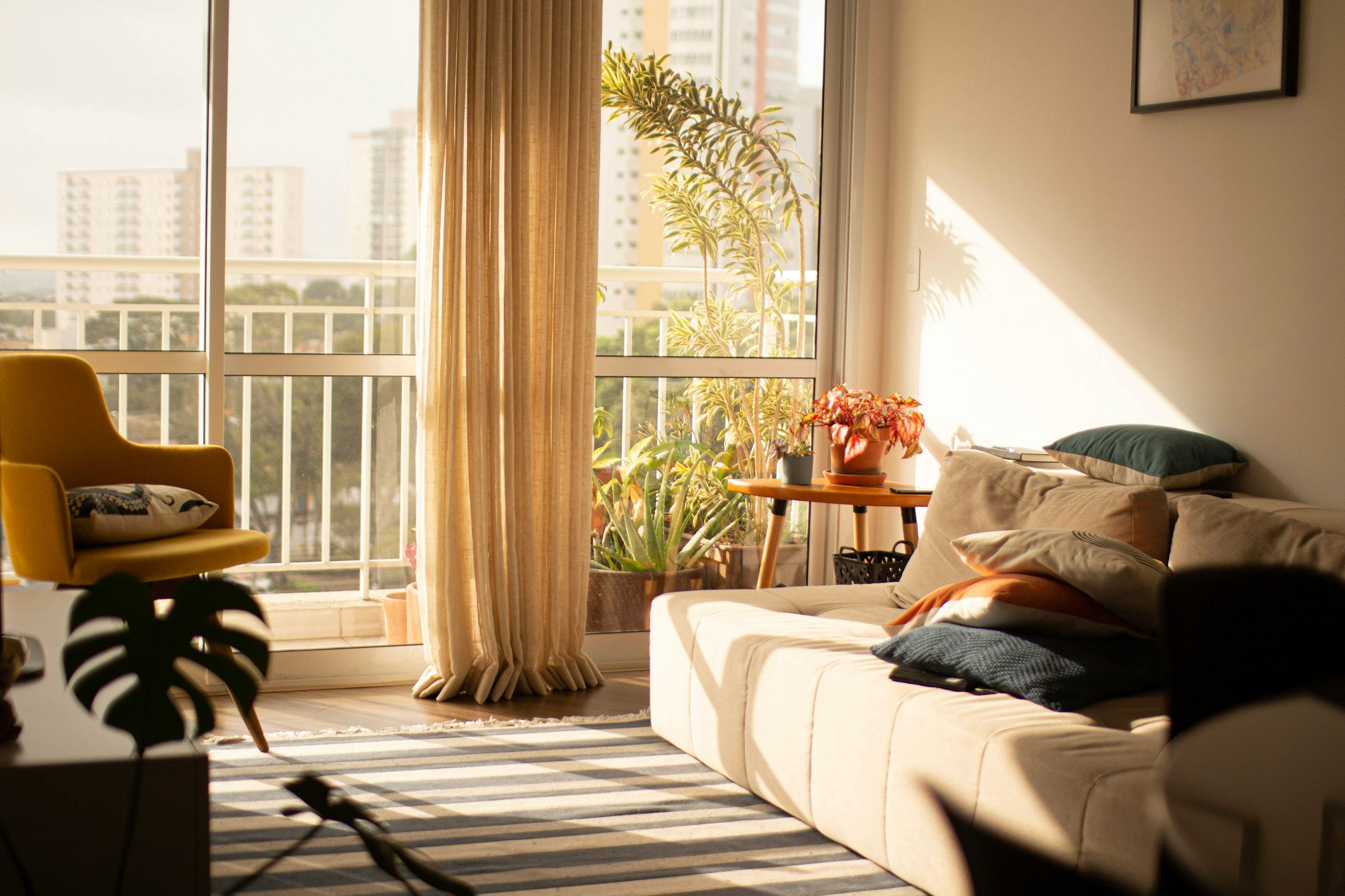 Cozy apartment living room with large window, warm morning light, plants and neutral tones